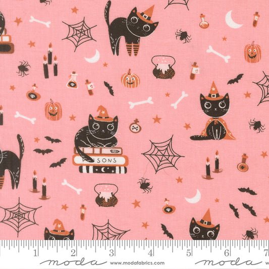Purrs And Boos Cats Candy