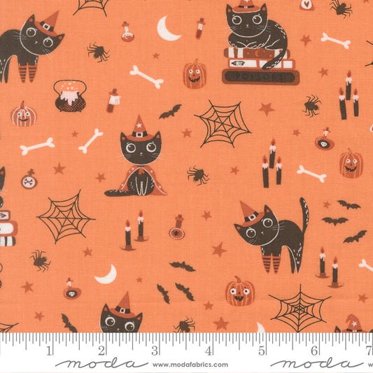 Purrs And Boos Cats Pumpkin