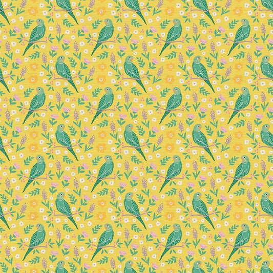 Budgies